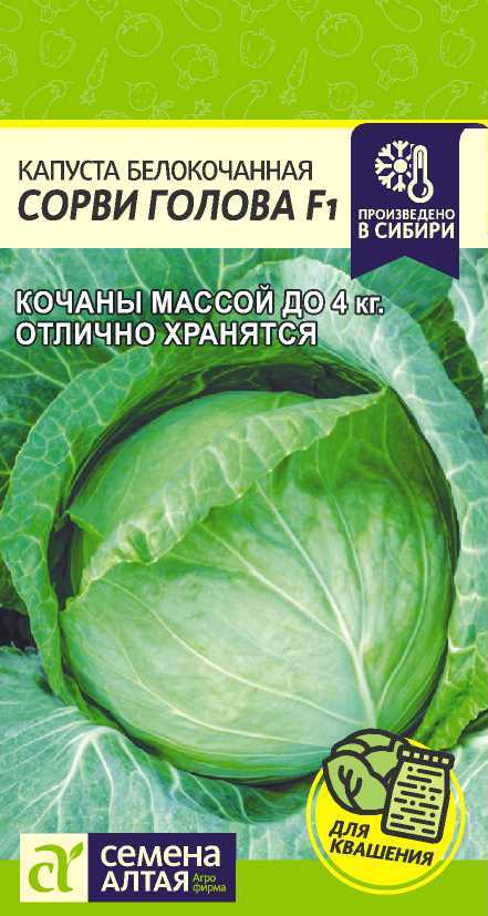 Сорви голова