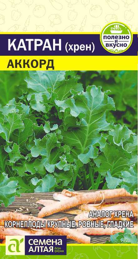 Катран аккорд