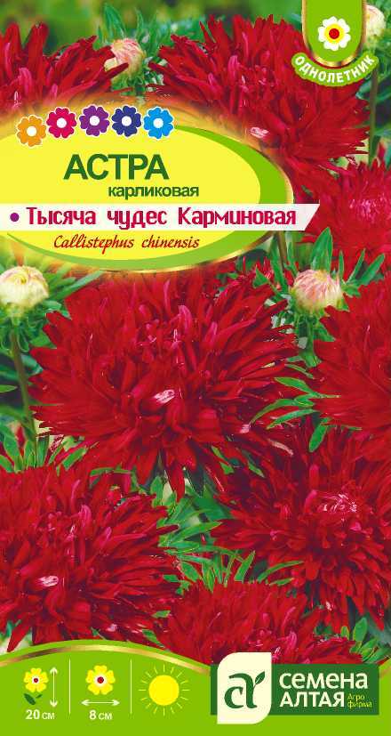 Тысяча чудес карминовая цп
