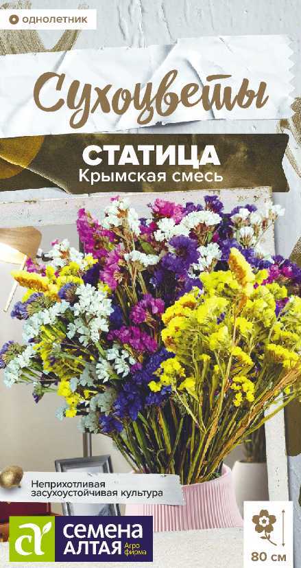 Статица Крымская смесь
