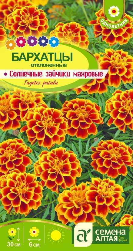 Солнечные зайчики цп