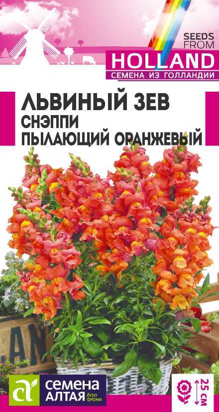 Снэппи пылающий оранжевый