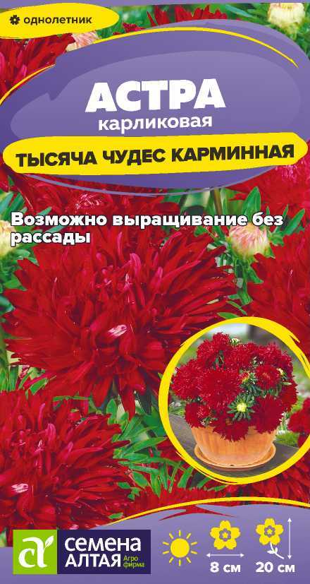 astra-tyisyacha-karminnaya