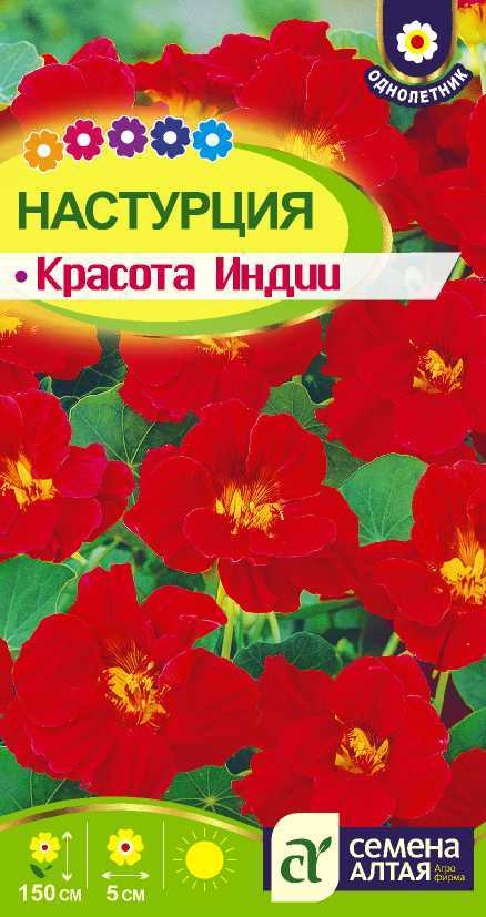 Красота индии цп