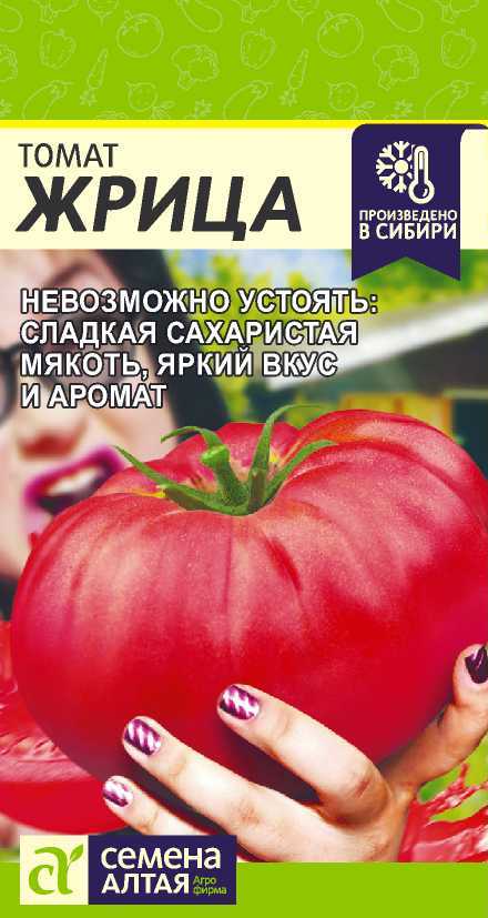 Жрица