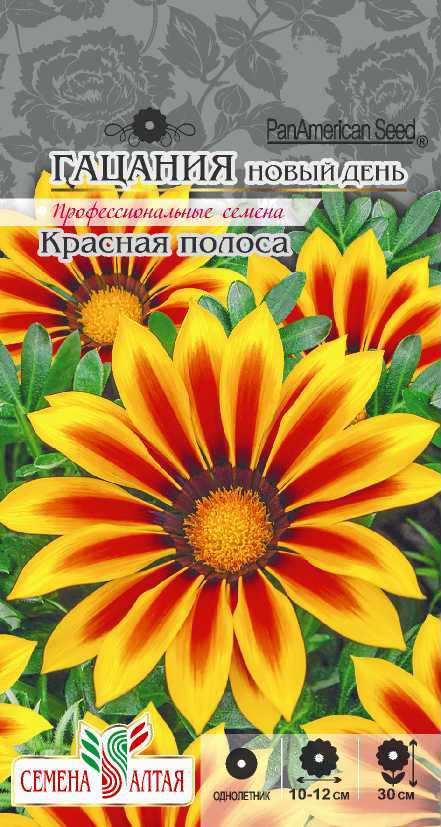 Гацания Новый день красная полоса
