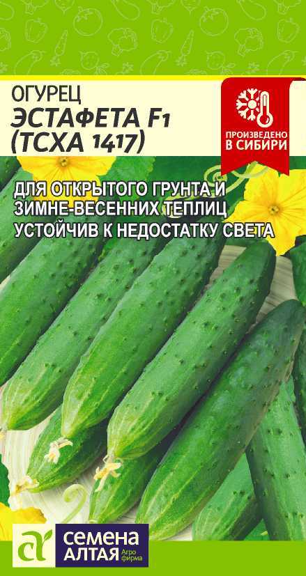 Эстафета цп