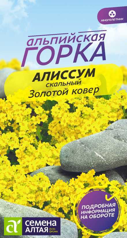 Алиссум Золотой ковер