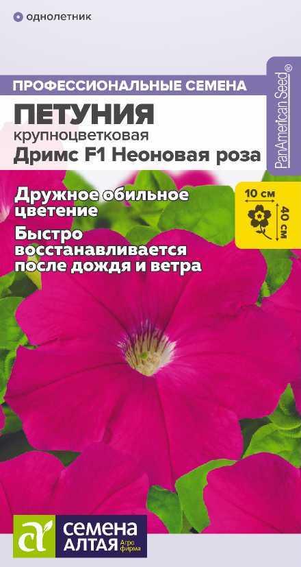 Петуния Дримс неоновая роза