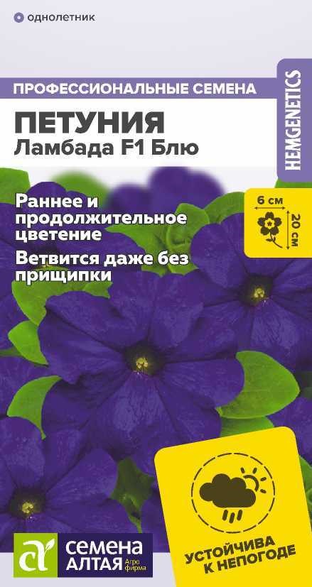Петуния Ламбада блю