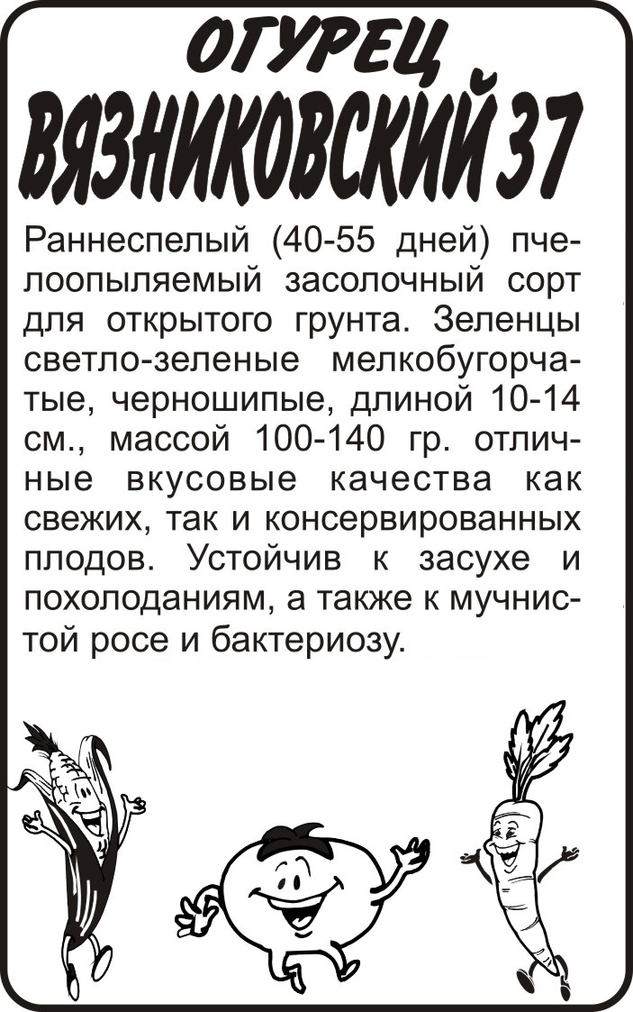 Вязниковский бп
