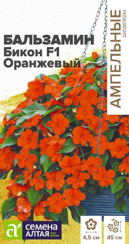 Бальзамин Бикон оранжевый