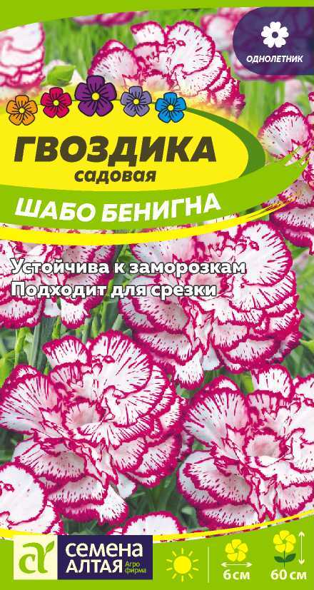 Гвоздика Шабо Бенигна