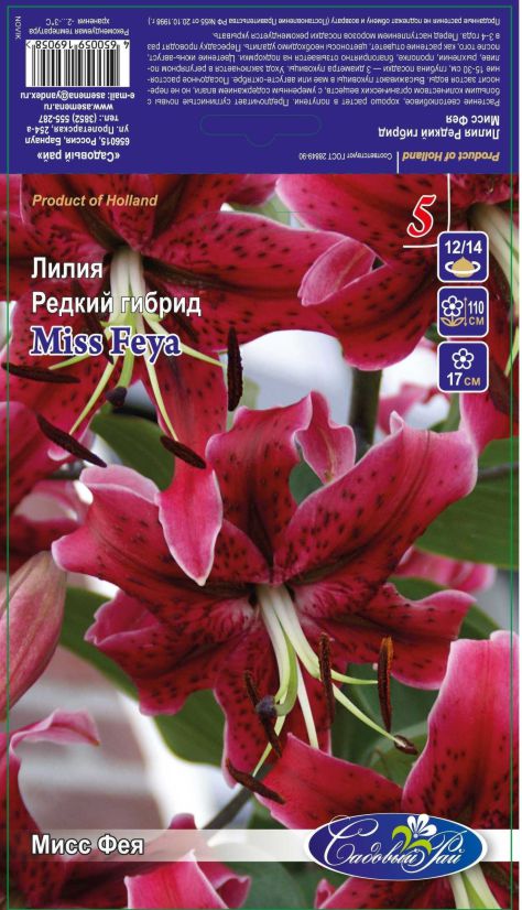 Мисс фея