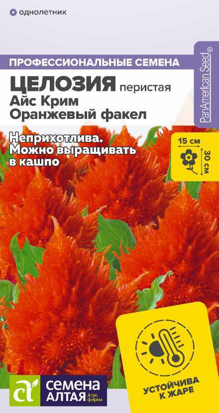 00-00019962