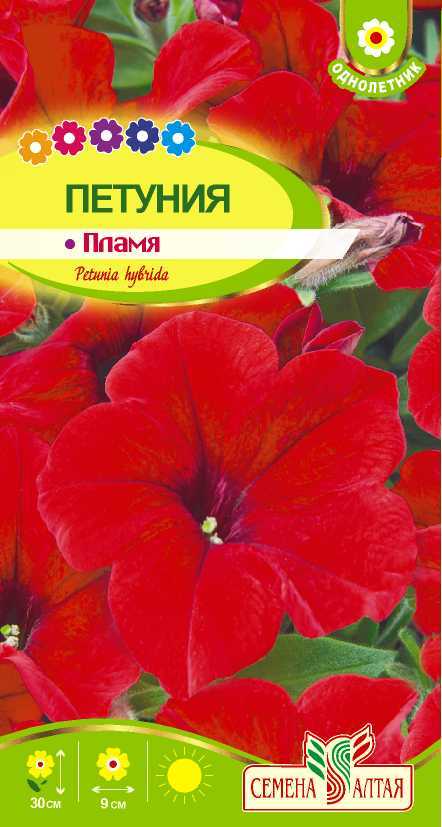 Пламя