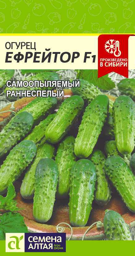 Ефрейтор
