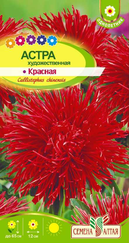 Художественная красная цп