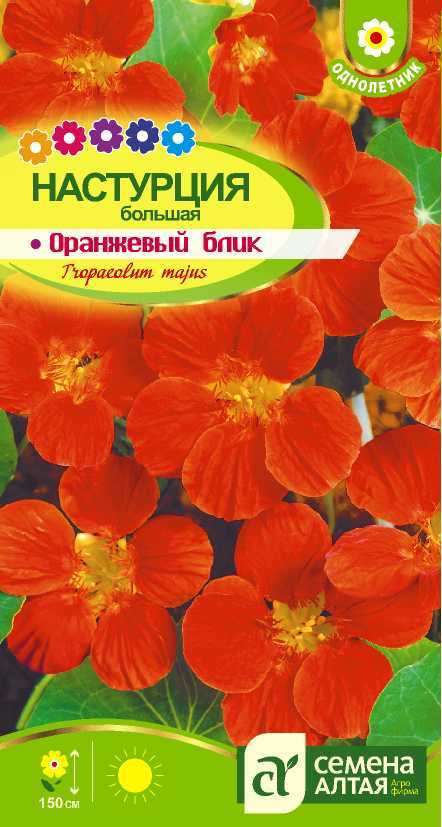 Оранжевый блик цп