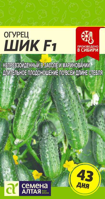 Шик
