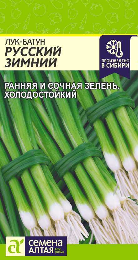Лук батун русский зимний