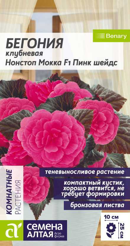 begoniya-nonstop-pink-sheish