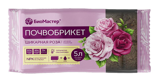 роза