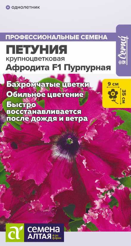 Петуния афродита пурпурная