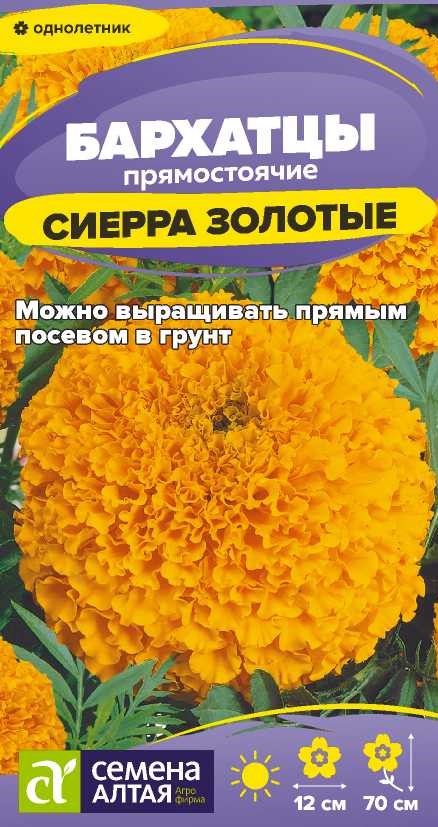 00-00034006