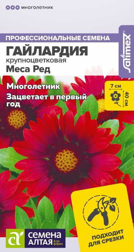 00-00032246
