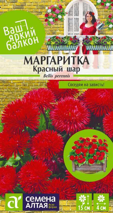Маргаритка красный шар цп