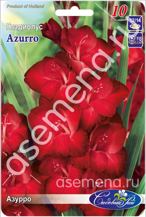 Азурро