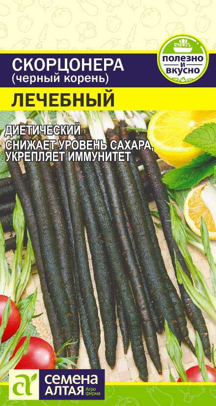 Скорцонера