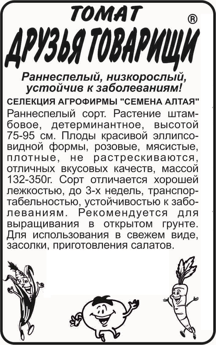 Друзья-товарищи СС бп