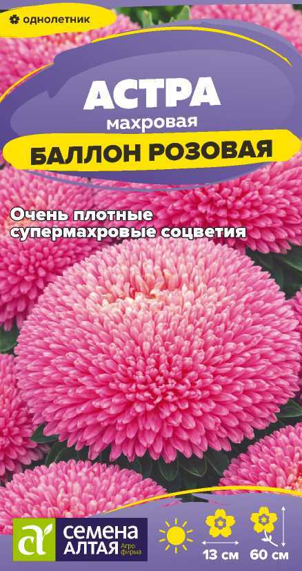 00-00029846