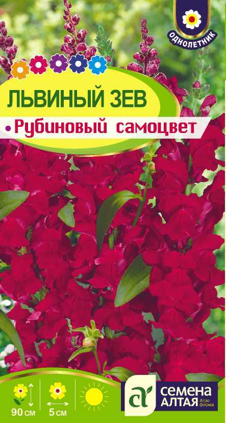 Рубиновый самоцвет