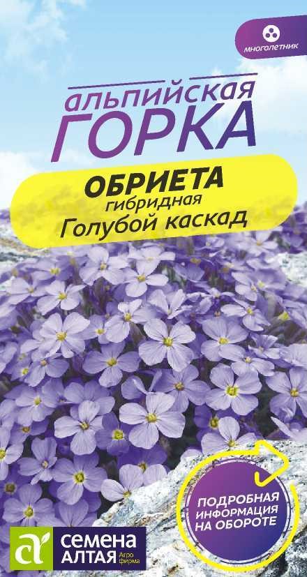 Обриета Голубой каскад