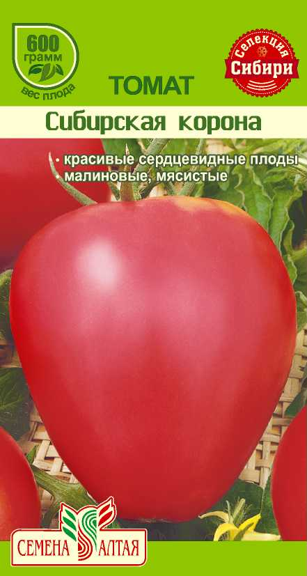 Сибирская корона СС