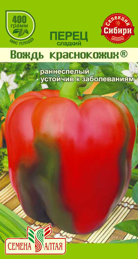 Вождь краснокожих