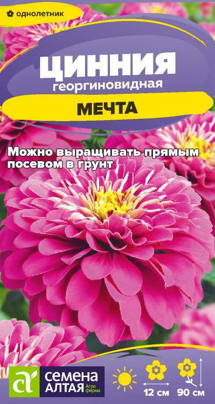 Цинния мечта