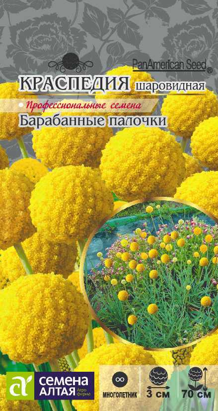 Краспедия Барабанные палочки