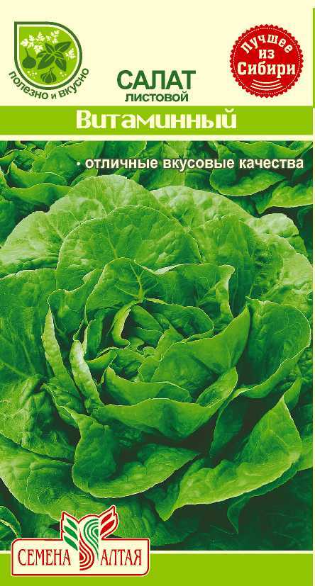 Салат витаминный