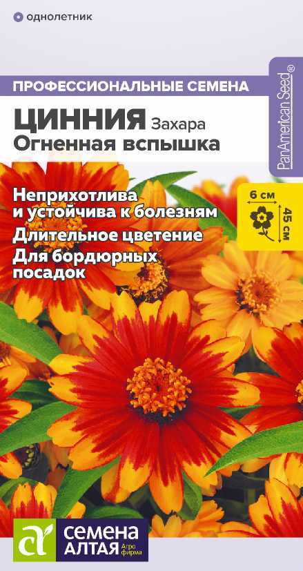 ciniya-ognennaya-vspyishka