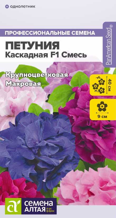 00-00033116