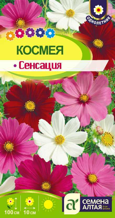 Космея сенсация цп