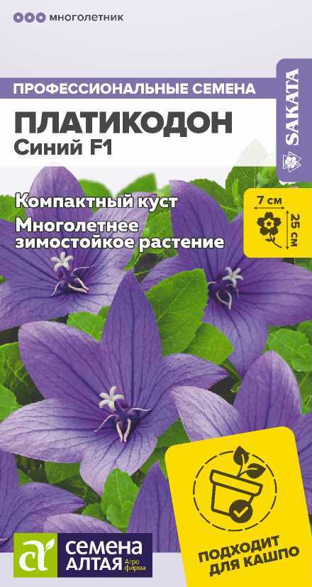 00-00032025