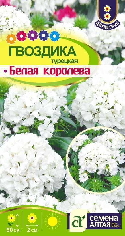 Белая королева цп
