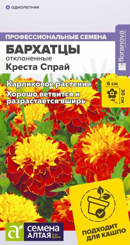 Бархатцы Креста спрай