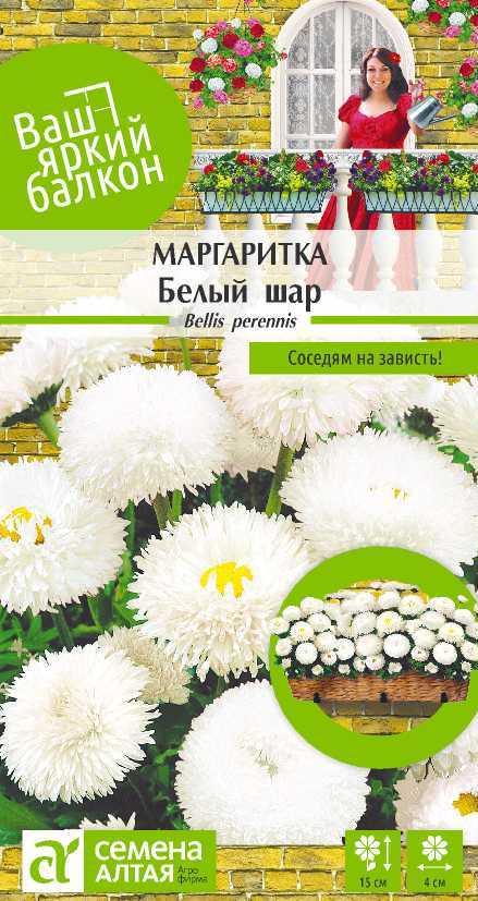 Маргаритка белый шар цп