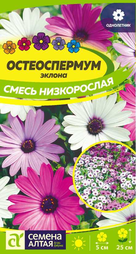 Остеоспермум смесь